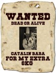 Wanted Poster Creator: https://www.tuxpi.com/photo-effects/wanted-poster